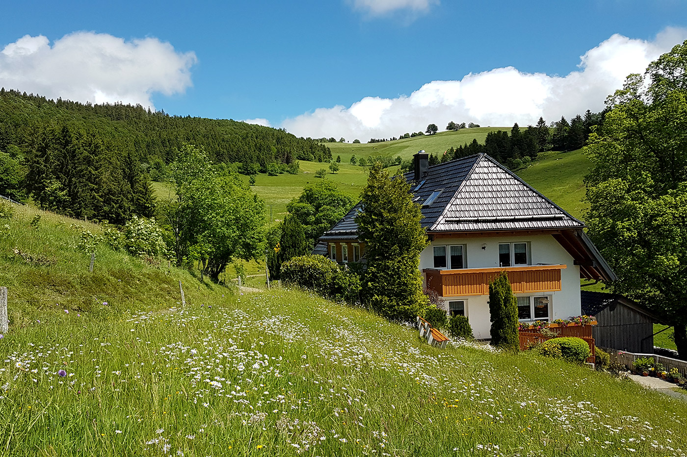 Urlaub auf dem Bauernhof Sägenbach Schwarzwald